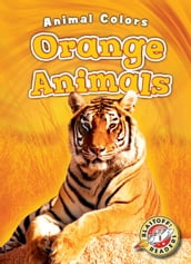 Orange Animals