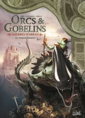 Orcs et Gobelins T22 - Guerres d Arran