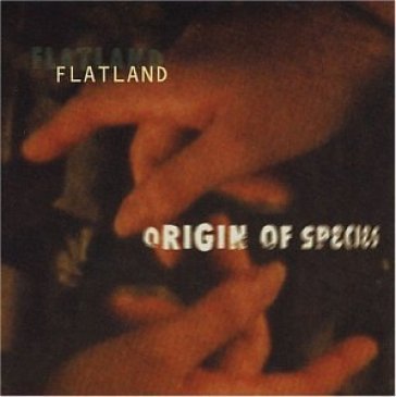 Origin of species - FLATLAND