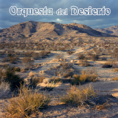 Orquesta del desierto (orange vinyl)