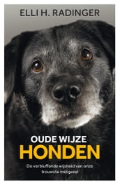 Oude wijze honden