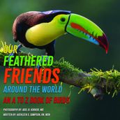 Our Feathered Friends Around The World - An A To Z Book Of Birds