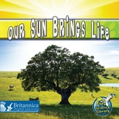 Our Sun Brings Life