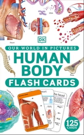 Our World in Pictures Human Body Flash Cards