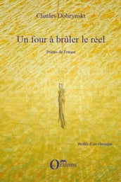 PETER ALTENBERG UNE VIE DE POETE BOHEME A VIENNE ENTRE 1859: Une vie de poète bohème à Vienne entre 1859 et 1919