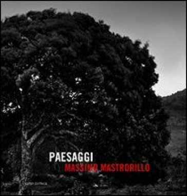 Paesaggi - Massimo Mastrorillo