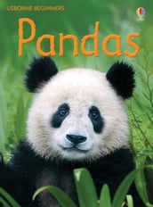 Pandas: For tablet devices: For tablet devices
