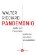 Pandemonio. Quello che è successo, quello che non dovrà più succedere