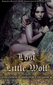 Paranormal Shifter Universe 6: Lost Little Wolf