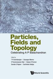 Particles, Fields and Topology