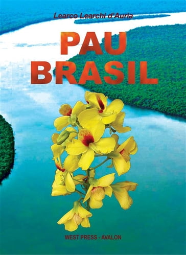 Pau Brasil - Learco Learchi D