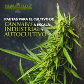 Pautas para el cultivo de cannabis a escala industrial y autocultivo