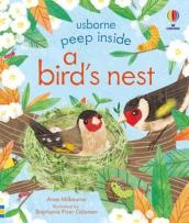 Peep Inside a Bird s Nest