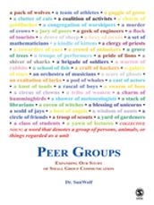 Peer Groups