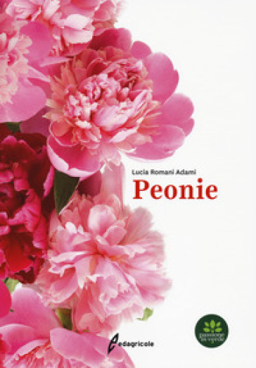 Peonie - Lucia Romani Adami