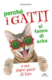 Perché i gatti si fanno di erba e noi siamo pazzi di loro