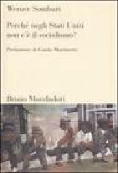 Perché negli Stati Uniti non c è il socialismo?