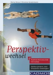 Perspektivwechsel