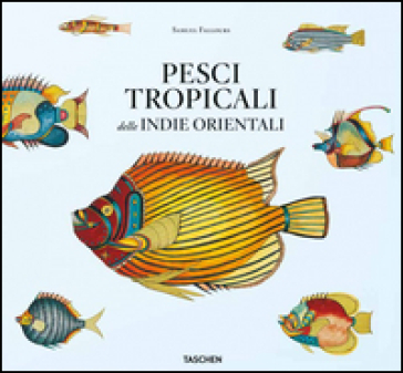 Pesci tropicali delle Indie orientali. Ediz. italiana, spagnola e portoghese - Theodore W. Pietsch