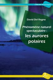 Phénomène naturel spectaculaire: les aurores polaires