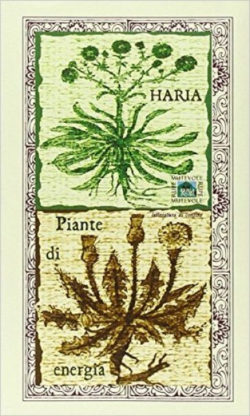 Piante di energia - Haria