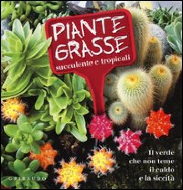 Piante grasse succulente e subtropicali. Il verde che non teme il caldo e la siccità - Lorena Lombroso - Simona Pareschi