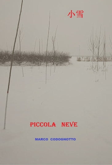 Piccola Neve - Marco Codognotto