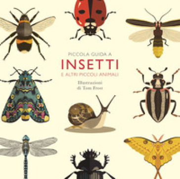 Piccola guida a insetti e altri piccoli animali - Alison Davies