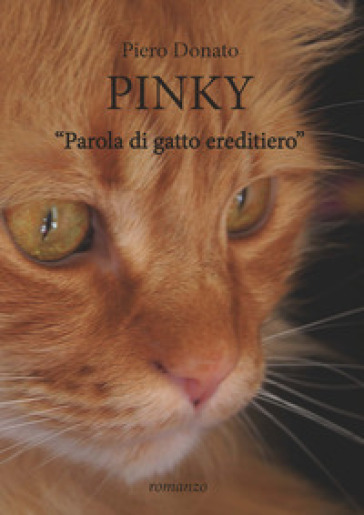 Pinky. Sui sentieri dell'anima - Piero Donato