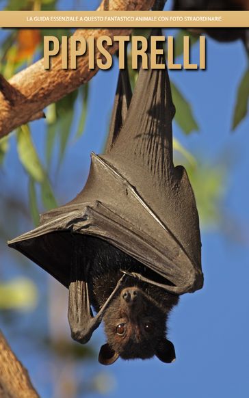 Pipistrelli: la guida essenziale a questo fantastico animale con foto straordinarie - Claudia Santopaolo