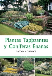 Plantas tapizantes y coníferas enanas