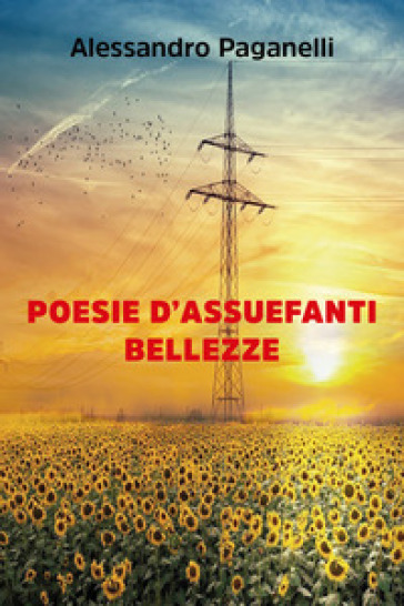 Poesie d'assuefanti bellezze - Alessandro Paganelli