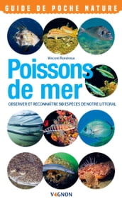 Poissons de mer