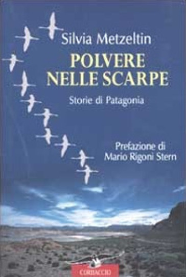 Polvere nelle scarpe. Storie di Patagonia - Silvia Metzeltin