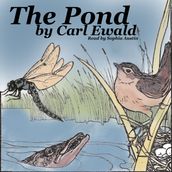 Pond, The