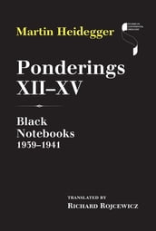 Ponderings XIIXV