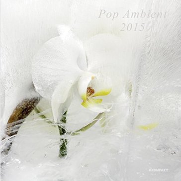 Pop ambient 2015 - AA.VV. Artisti Vari