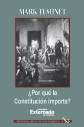 Por qué la Constitución importa?