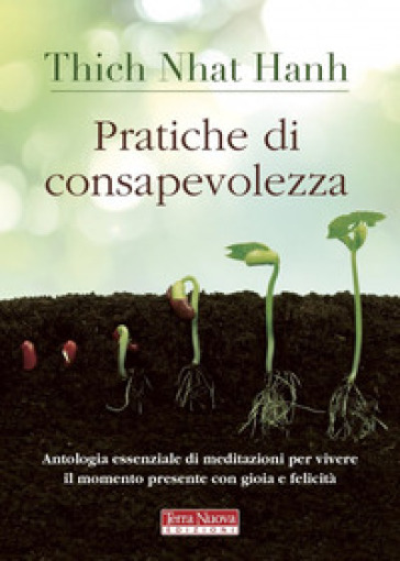 Pratiche di consapevolezza. Antologia essenziale di meditazioni per vivere il momento presente con gioia e felicità - Thich Nhat Hanh