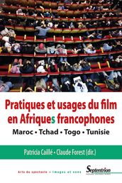 Pratiques et usages du film en Afriques francophones
