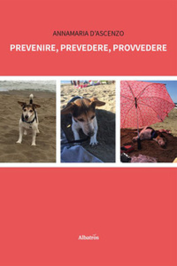 Prevenire, prevedere, provvedere - Annamaria D