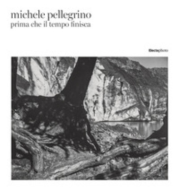 Prima che il tempo finisca. Ediz. italiana e inglese - Michele Pellegrino