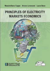 Principles of electricity markets economics