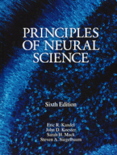 Principles of neural science