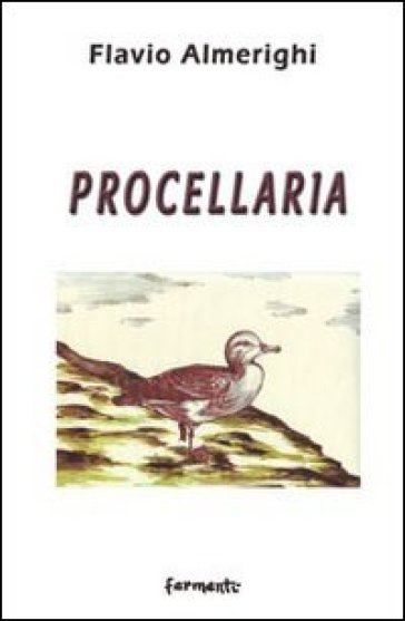 Procellaria - Flavio Almerighi