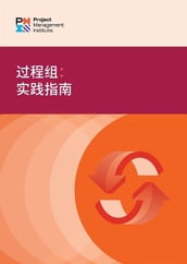 Process Groups: A Practice Guide (SIMPLIFIED CHINESE)