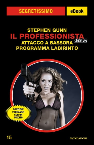 Il Professionista Story: Attacco a Bassora - Programma Labirinto (Segretissimo) - Stephen Gunn