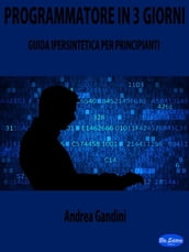 Programmatore in 3 Giorni