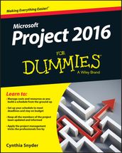 Project 2016 For Dummies