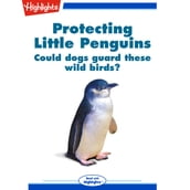 Protecting Little Penguins